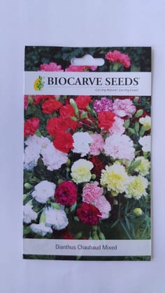 Biocarve Seeds Carnation (Dianthus caryophyllus) - Pack of 50 Seeds