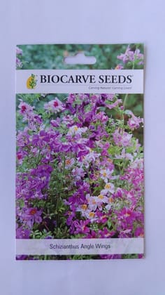 Biocarve Schizanthus pinnatus Exotic - Pack of 50 Seeds