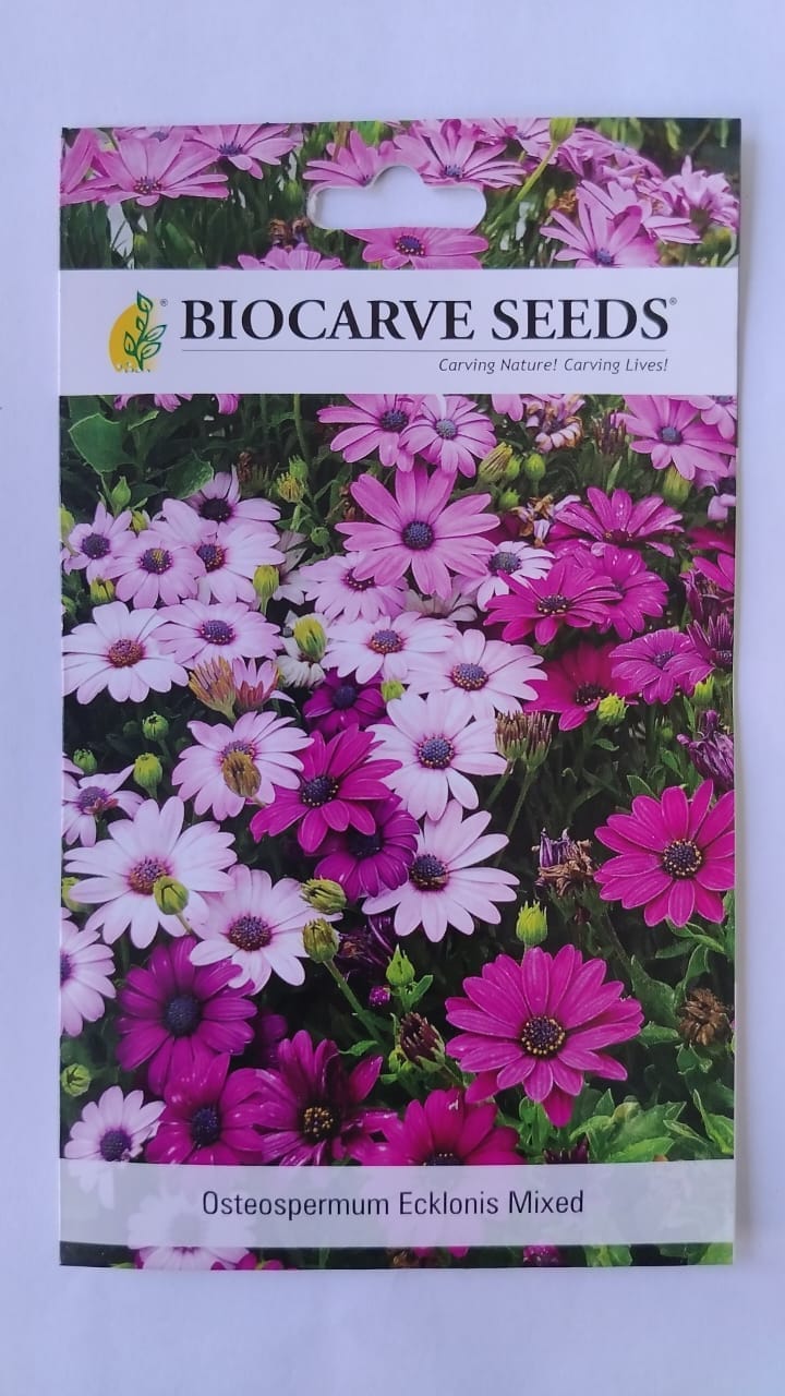 Biocarve Seeds Biocarve Osteospermum Ecklonis - Pack Of 100 Seeds