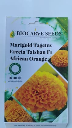 Biocarve Seeds - African Marigold Dwarf Taishan F1 Orange -Pack of 20 seeds