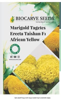 Biocarve Tagetes erecta Nana Taishan F1 Yellow - Pack of 20 Seeds