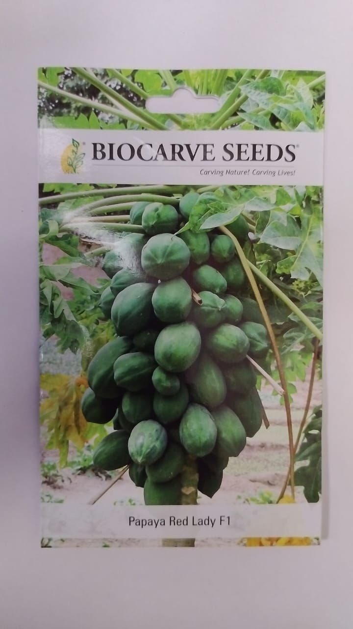 Biocarve Seeds Papaya F1 Hybrid Seeds - Pack of 10 seeds