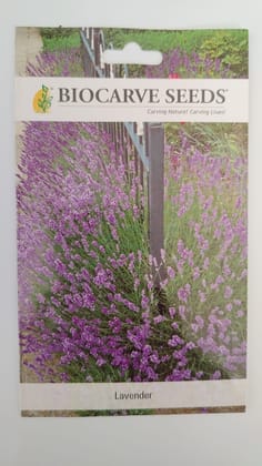 Biocarve Herb Lavender - Pack of 50 Seeds