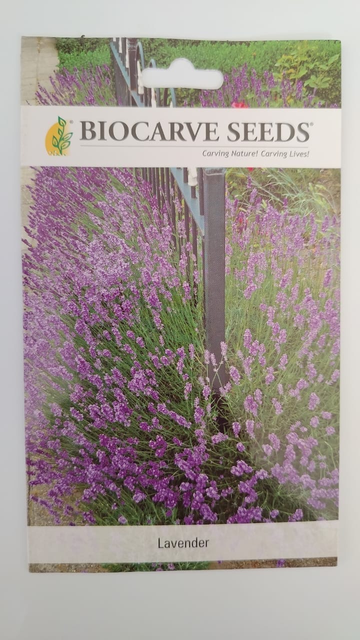 Biocarve Herb Lavender - Pack of 50 Seeds