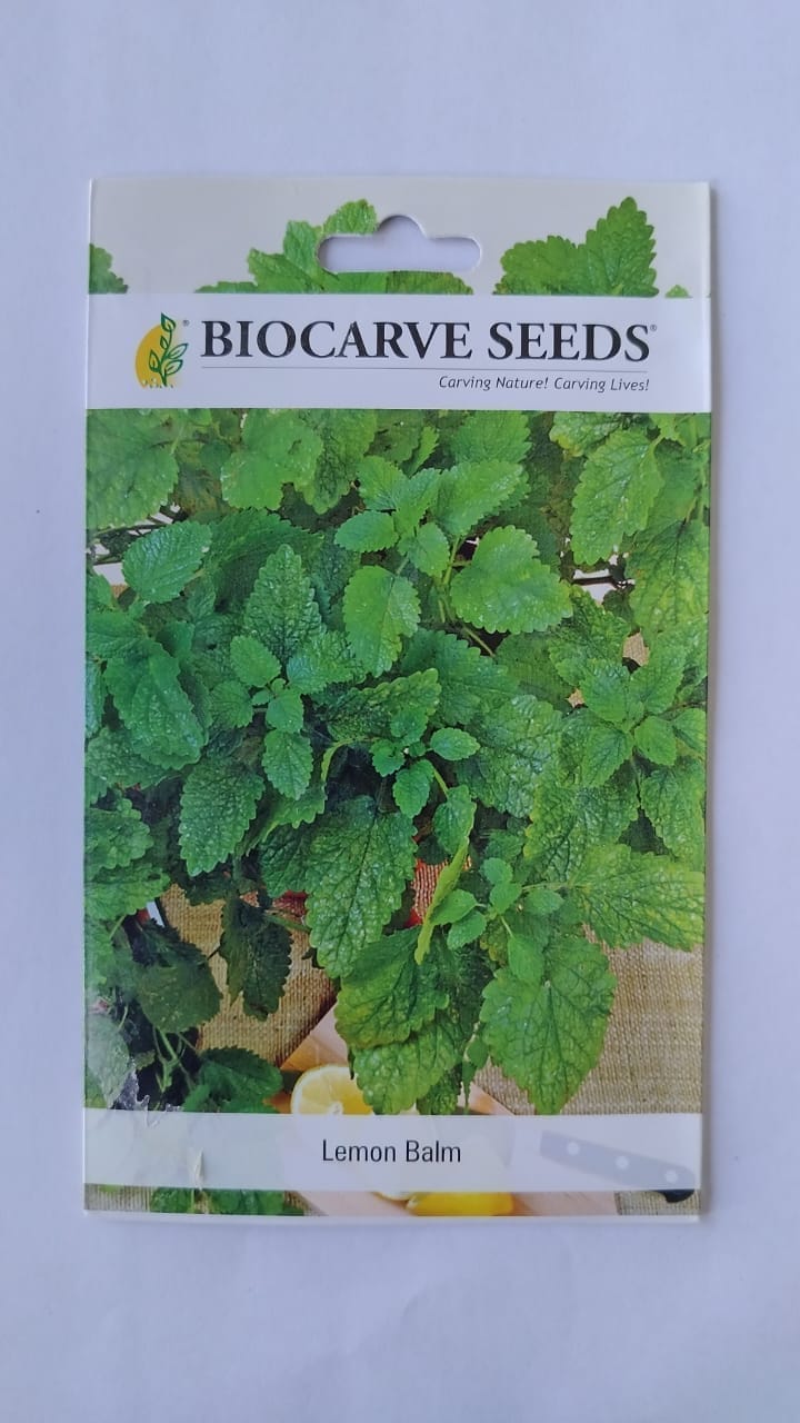 Biocarve Herb Lemon Balm - Pack of 50 Seeds