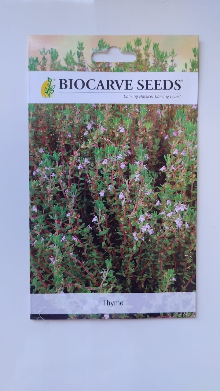 Biocarve Herb Thyme English Winter - Pack of 50 Seeds