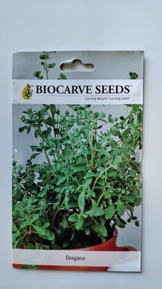 Biocrve Oregano (Origanum vulgaris) - Pack of 50 seeds