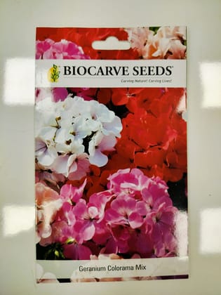 Biocarve Seeds Gerenium (Pelargonium) - Pack of 20 Seeds