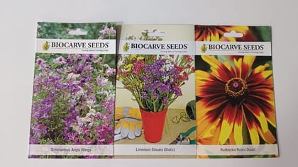 Flower Seeds Exotic Winter Flowers-3 Packets(Schizanthus pinnatus Mix 50 Seeds,Statice Mix (Limonium sinuata) 50 Seeds,Rudbeckia 50 Seeds)