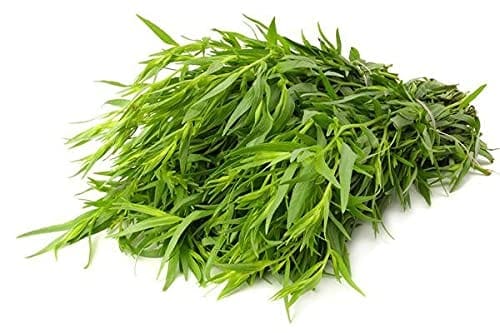 Biocarve Seeds Tarragon Seeds | Pack Of 1: 50 Seeds