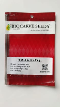 Biocarve Seeds Squash Yellow long | Pack oF 1: 20 Seeds