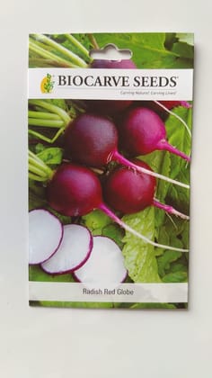 BIOCARVE SEEDS Radish Red Globe Seeds | Pack Of 1: 50 Seeds