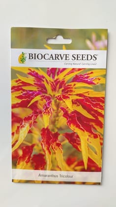 Biocarve Seeds Amaranthus Tricolor Molten Fire | Pack Of 1: 100Seeds