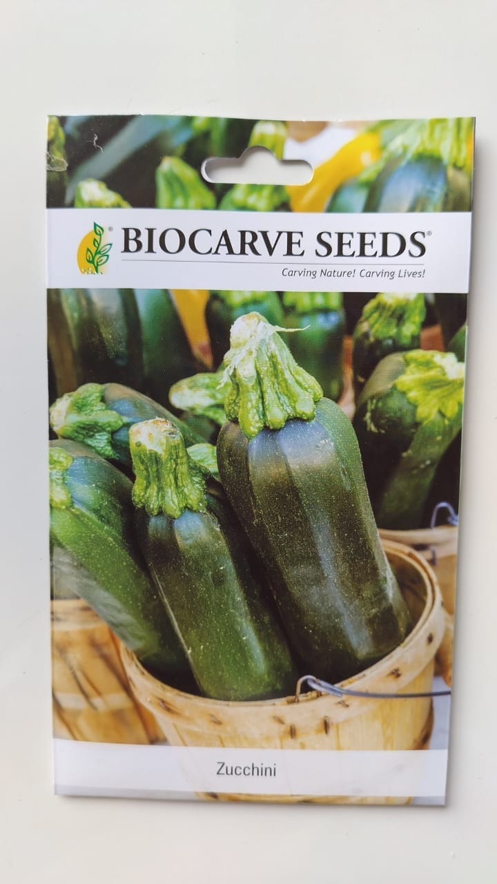 Biocarve Seeds Zucchini - Pack of 20 Seeds