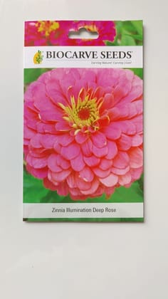 Biocarve Seeds Zinnia Elegans Illumination Deep Rose- Pack of 100 Seeds