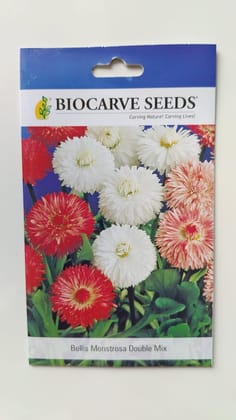 Biocarve Bellis Monstrosa Daisy  Double Mix - Pack of 200 Seeds