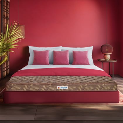 Sleepwell Champ Regular | 5-inch Single Bed Size | Medium Firm Mattress (Brown, 84x60x5)