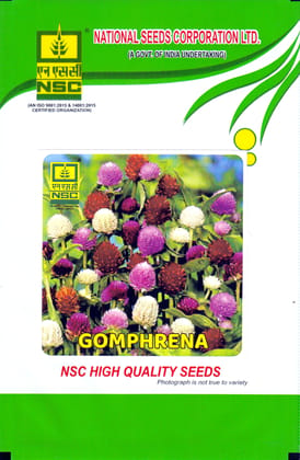 NSC Gomphrena Mix Seeds - High Quality Flower Seeds - 2.0 gm