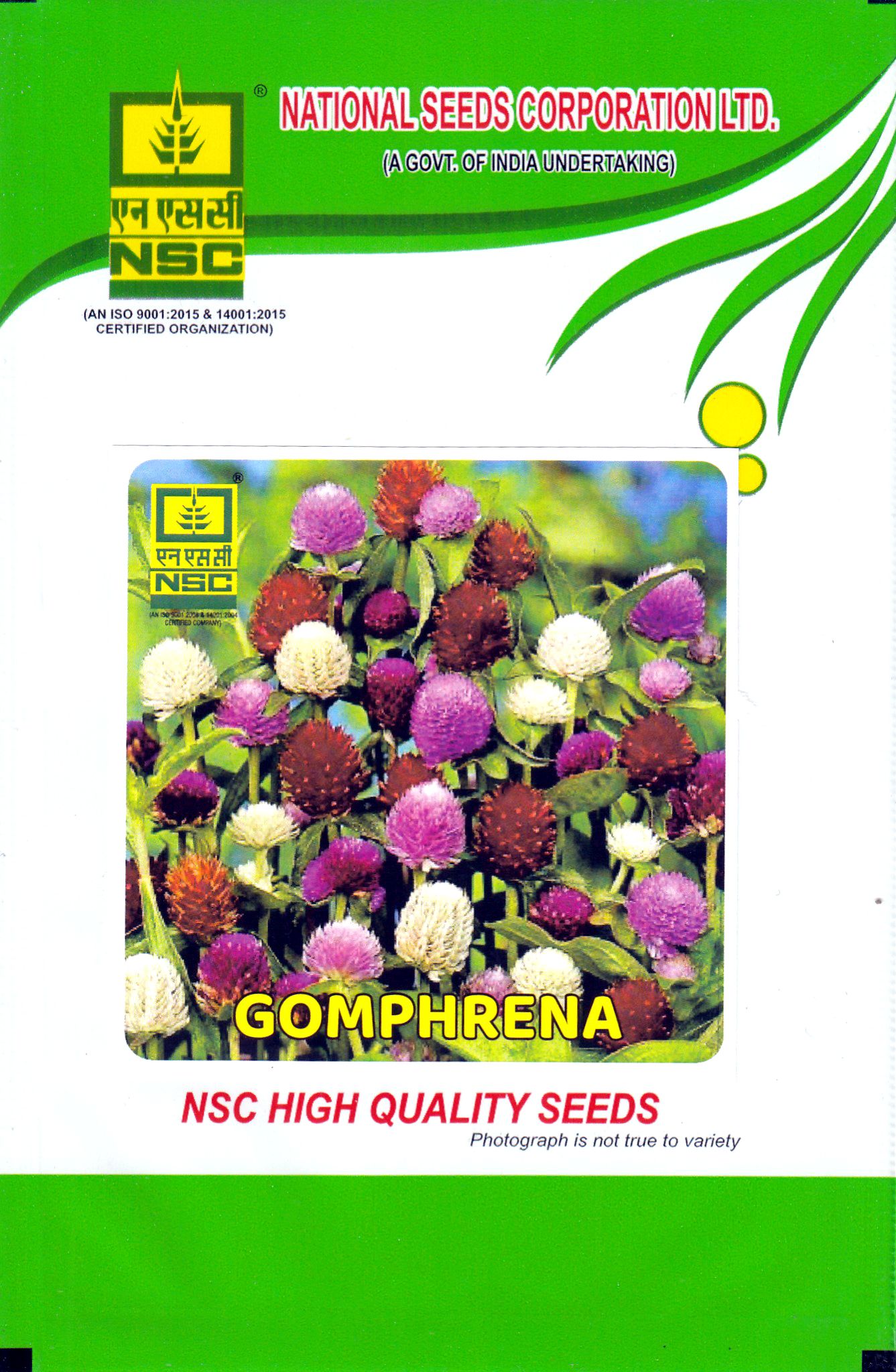 NSC Gomphrena Mix Seeds - High Quality Flower Seeds - 2.0 gm