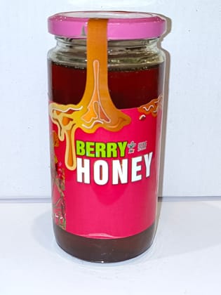 500g bottle of Berry honey