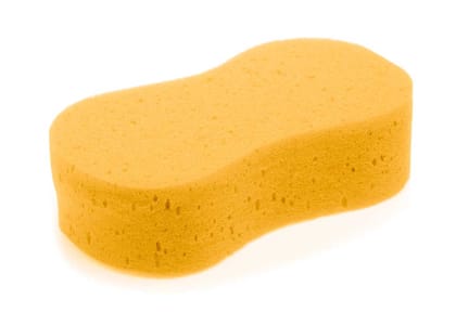 Sponge