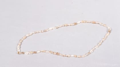 Cowrie Shell Necklace