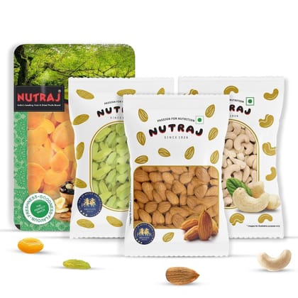 Nutraj 100% Natural Premium Mix Dry Fruits Combo 500g (Almonds, Cashew, Kishmish & Apricot)