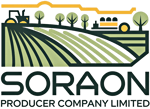 SORAON PRODUCER COMPANY LIMITED