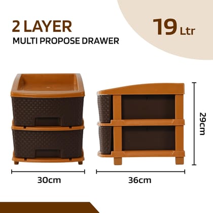  2-Layer 19L Multipurpose Plastic Rattan Weave Drawer Organizer