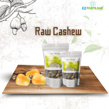 Ez Farmland Natural Raw Cashew Nut in Shell 400 g Dried Cashew /Natural Crops