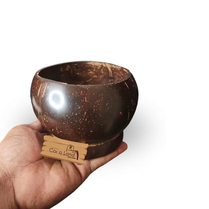 CocoLand Coconut Shell Cocktail Pot 400 ml