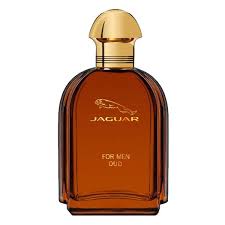 Jaguar For Men Oud 100ml EDT