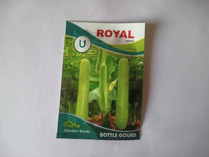  Royal Seeds Bottle Gourd Seeds for Home Garden, 100% Pure and Natural, Open Pollinated, Non-GMO, F1 Hybrid, High Yielding, Suitable for All Seasons