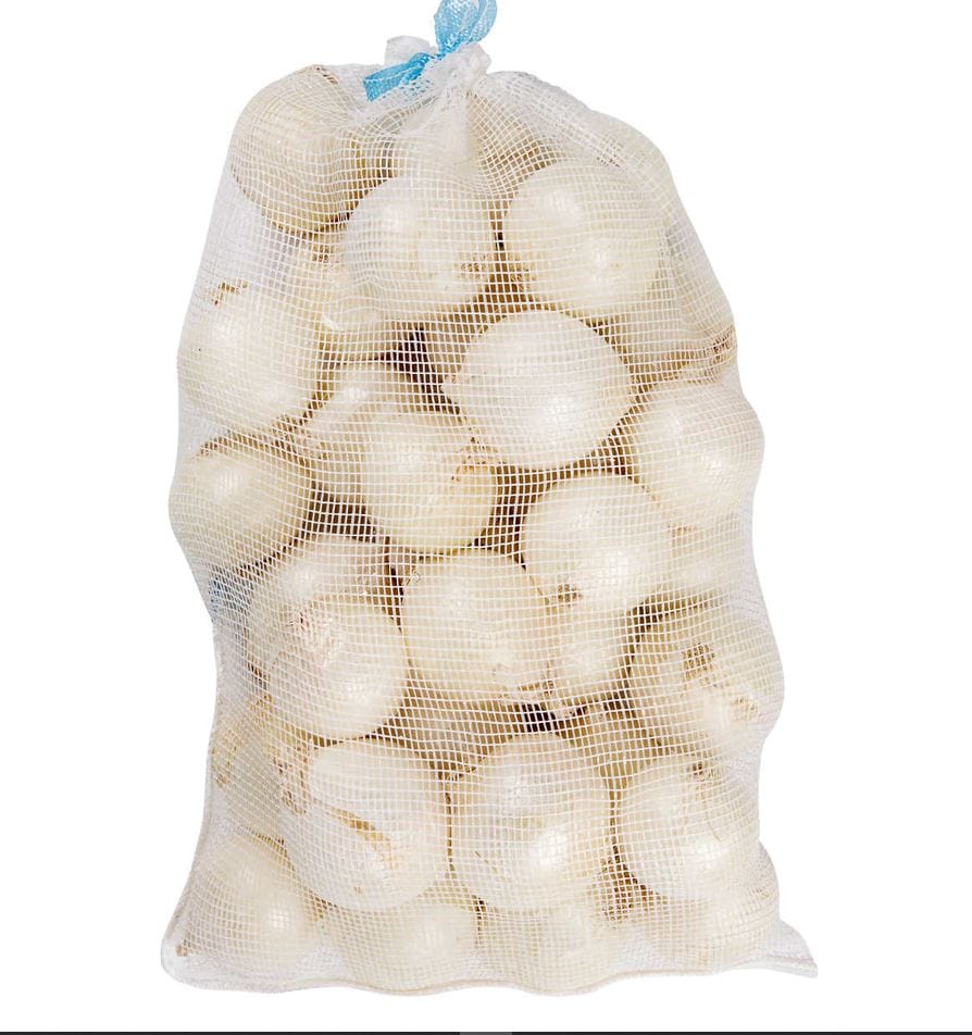 Organic White Onion - Fresh from the Earth (200g)