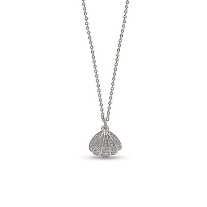 Silver Open Shell Pendant with Chain