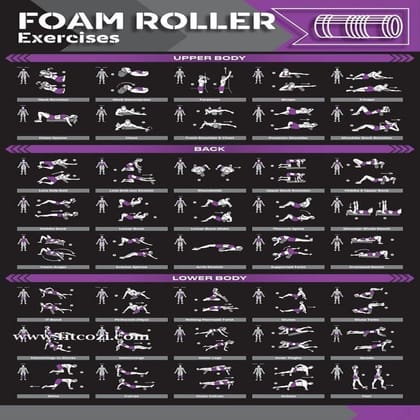 Foam Roller Exercises Guide