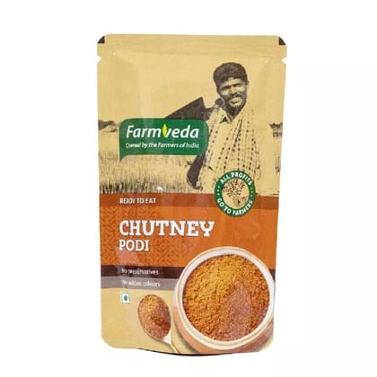 Chutney Podi - Transform Ordinary Dishes into Extraordinary Delights