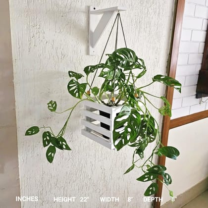 BARISH - Wall Mounted Planter - Square Hanging | Handcrafted with Rubberwood | Indoor Hanging Planter with Wall Mount Stand 22" x 8" x 8" Inches