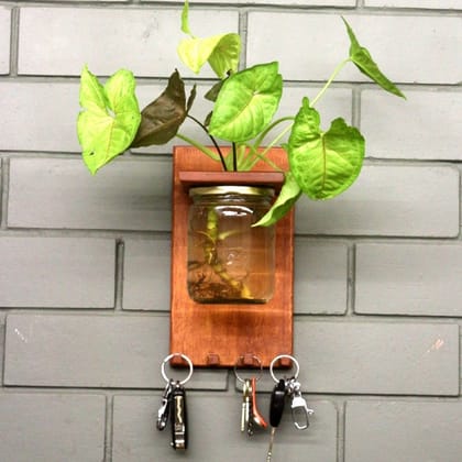 Barish Home Decor's - Wall Key Holder-with Planter Jar | Wall Mount Wooden Key Holder for Home Decor | Handcrafted with Rubberwood