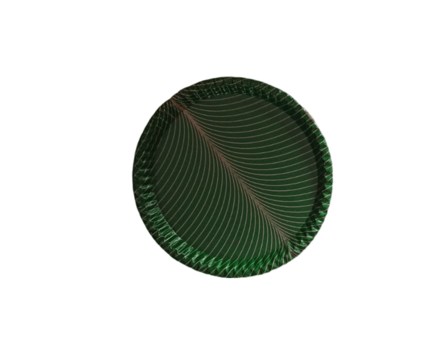 100% Natural Areca Leaf Plates | Disposable and Biodegradable | 12 Inches | Pack of 50