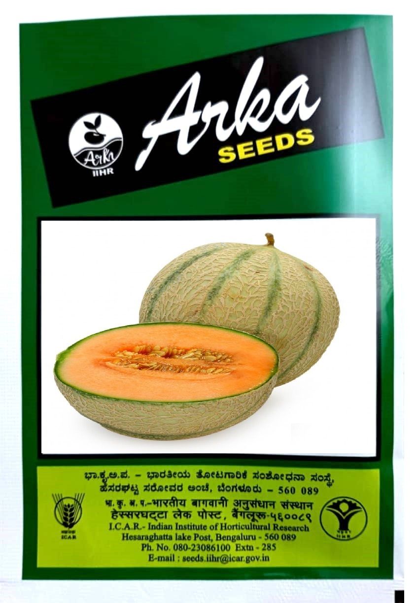 NSC IIHR MUSKMELON ARKA SIRI - TL SEEDS 2GM PACKING