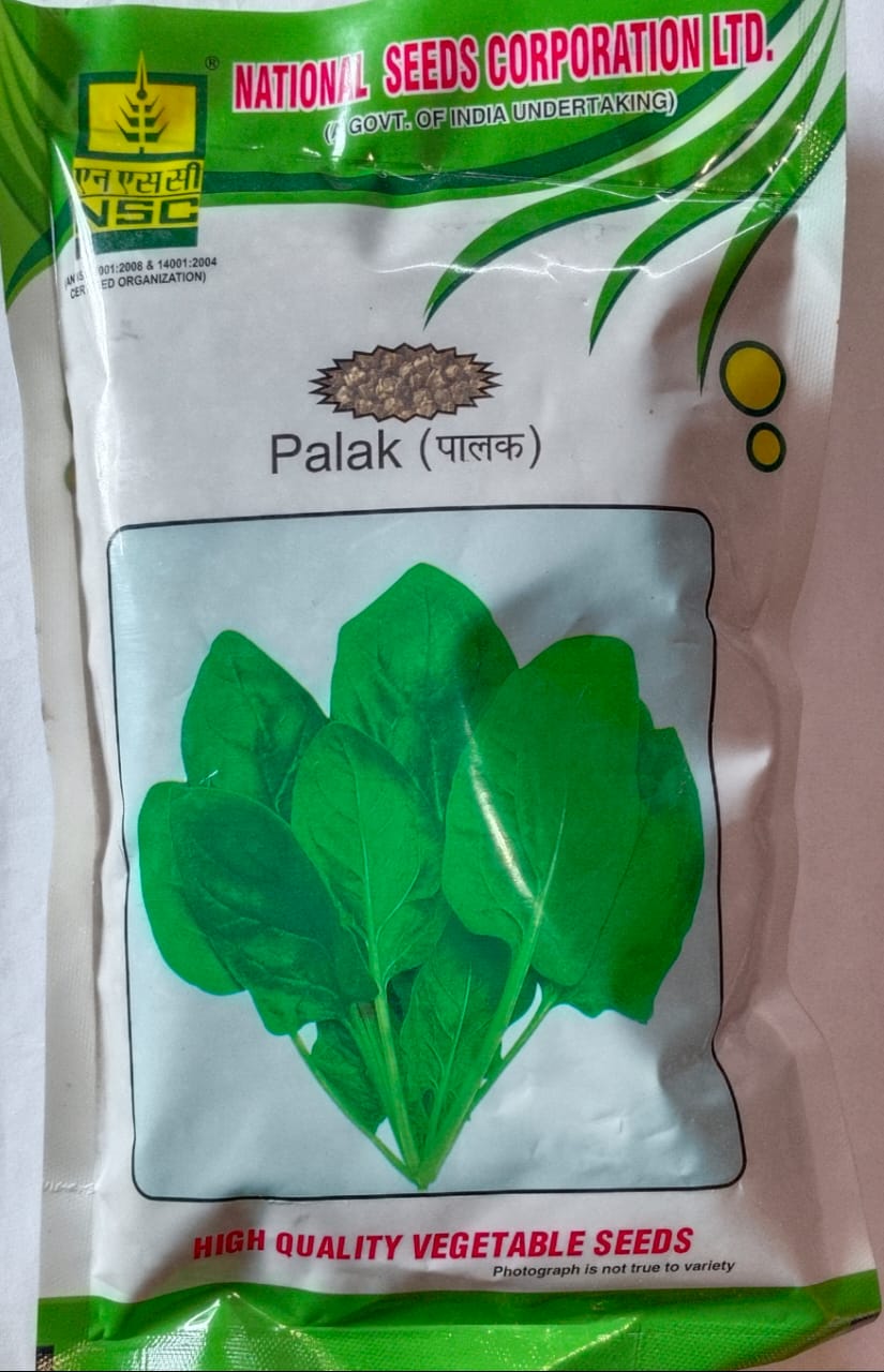 NSC PALAK/ALL GREEN/TL