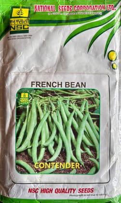 French Bean Seeds