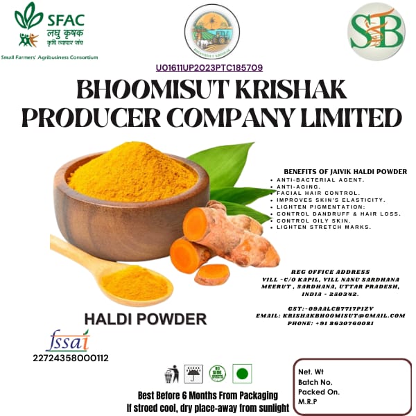 Haldi Powder