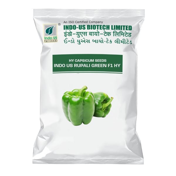 CAPSICUM SEEDS INDO US RUPALI GREEN F1 HY