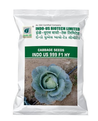 INDO US 999 F1 HY Cabbage Seeds