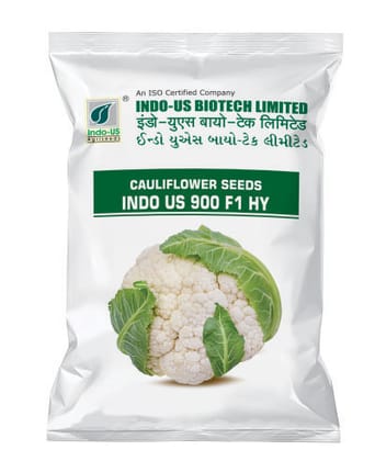  INDO US 900 F1 HY Cauliflower Seeds