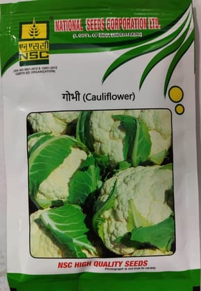 NSC Cauliflower PSBK-1 T/L Seed 100 Gram