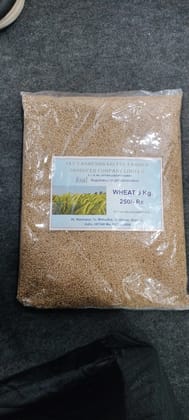  5 Kg Whole Wheat Grain