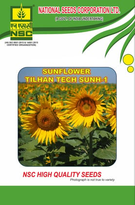 NSC Hybrid Sunflower (Tilhan Tech-SunH-1); 1 KG